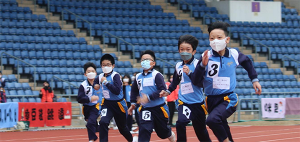 爱秩序湾官立小学|香港官立小学|香港小学|香港|香港升学|香港小升初|香港插班|内地港宝|香港小学插班