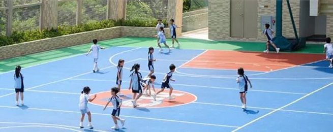 香港|香港教育|香港插班|香港内卷|香港中学|香港小学|香港升学|香港DSE