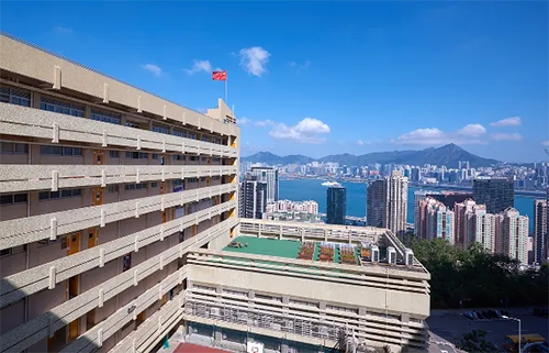 香港中学|香港小学|香港读书|香港小学呈分试|香港五年级插班|香港升中|香港升学规划|香港教育|香港