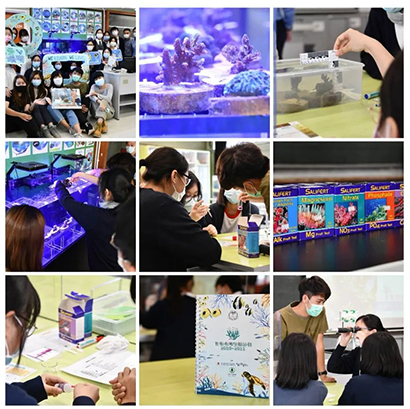 香港|香港中学|香港Band1A中学|香港新移民|香港教育|香港直资学校|香港官津学校|容祖儿母校|容祖儿