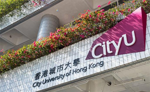 香港|香港插班|香港中学|香港新移民|新来港家庭|香港Band1中学|香港中学|香港插班申请|香港升中|香港春季插班|香港秋季插班|香港Band1中学|香港DSE|港八大|香港IB|香港课程体系|香港港八大申请