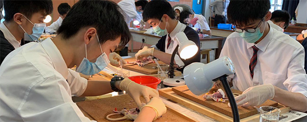 香港|香港插班|香港中学|香港新移民|新来港家庭|香港Band1中学|香港中学|香港插班申请|香港升中|香港春季插班|香港秋季插班|香港Band1中学