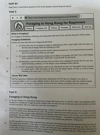 香港|香港DSE|香港插班|DSE|香港DSE报考人数|港八大|港前三|内地港宝|香港新移民|新来港家庭|香港Band1中学|香港中学|香港教育|香港升学|香港高考