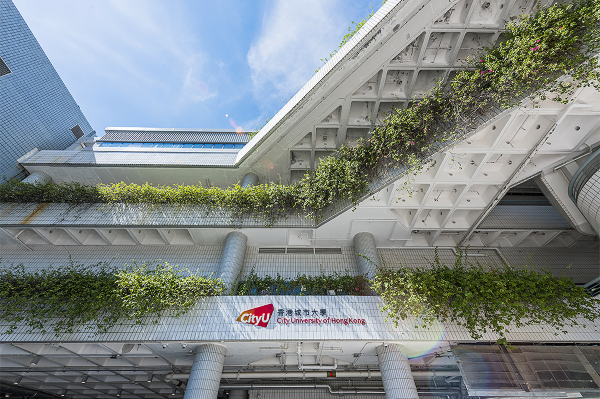 1762313754360175.png b70f14f2-43cd-42eb-8d25-59e23d319bf6.png